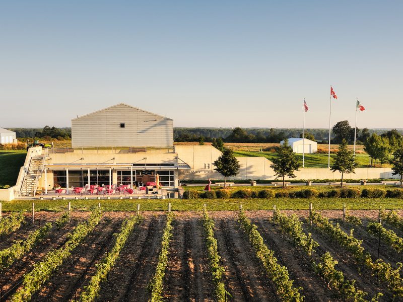 a farm with a barn in the background.