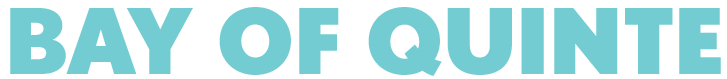 a black and blue logo with the words bay of county.