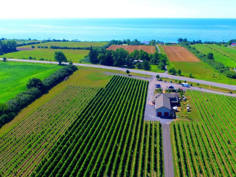 an aerial view of a farm near the ocean.