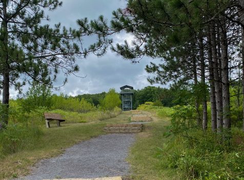 a path in the middle of a wooded area.