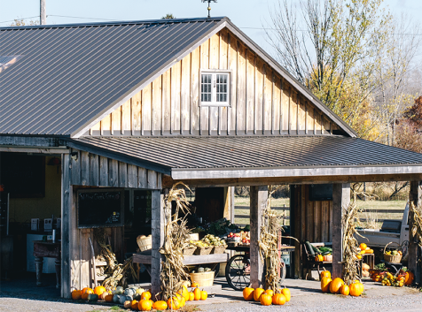 a barn with pumpkins and corn on the ground.