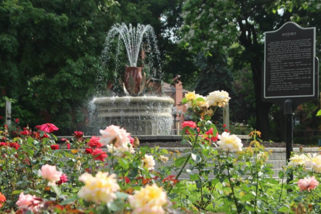 Image of a rose garden with a fountain in the background