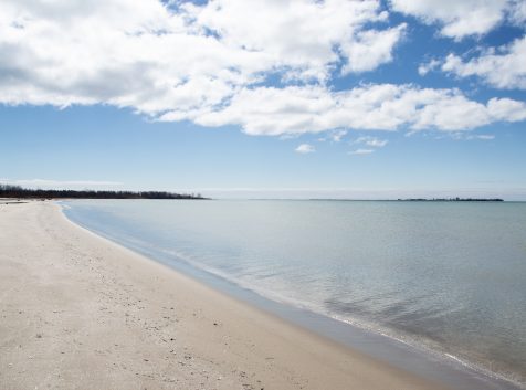 a sandy beach with a body of water in the background.