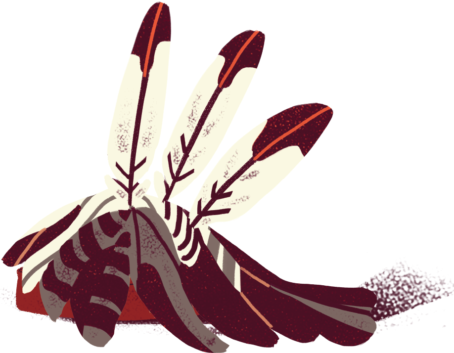 a red and white bird with feathers on its head.