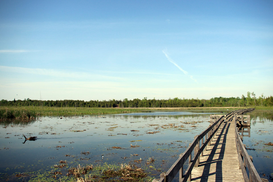 a wooden bridge over a body of water.