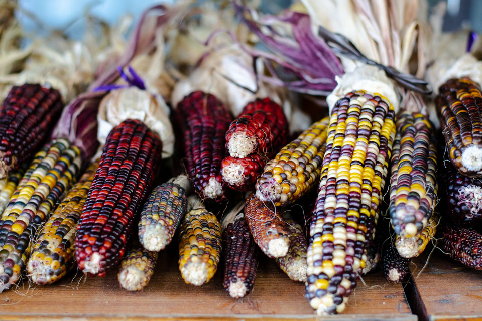 a pile of corn on the cob sitting on top of a wooden table.