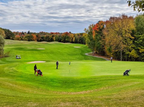 a group of people playing golf on a golf course.