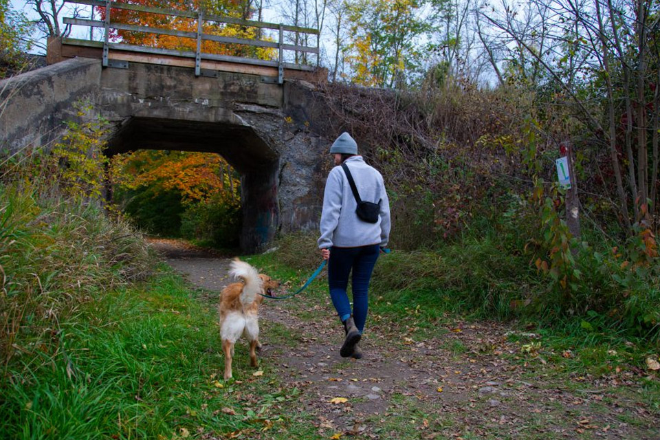 a person walking a dog on a leash.