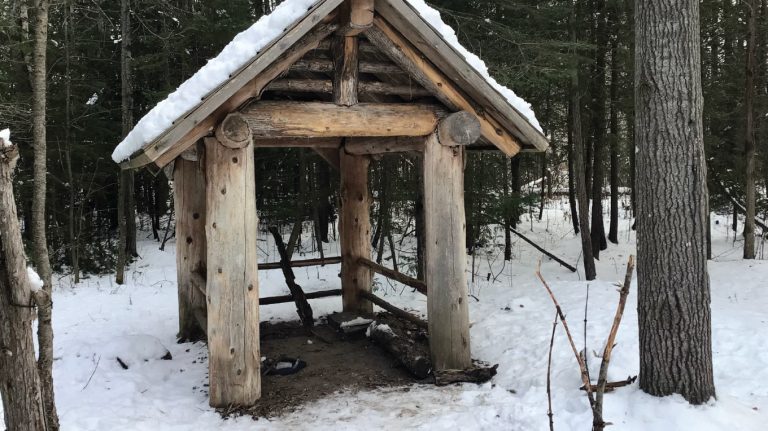 a small wooden shelter in the middle of a snowy forest.