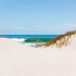 a view of the ocean from a sand dune.