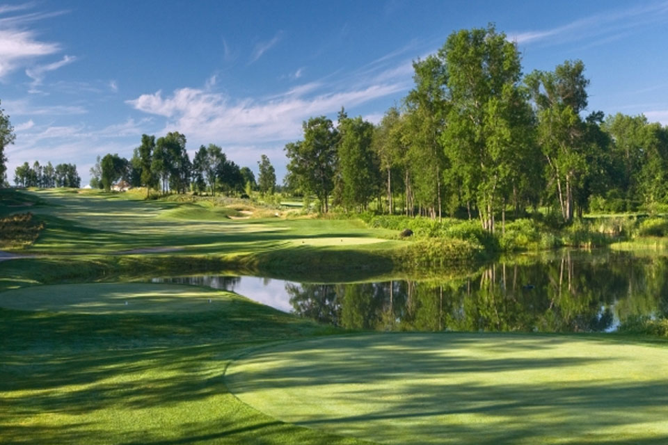 a golf course with a pond and trees in the background.