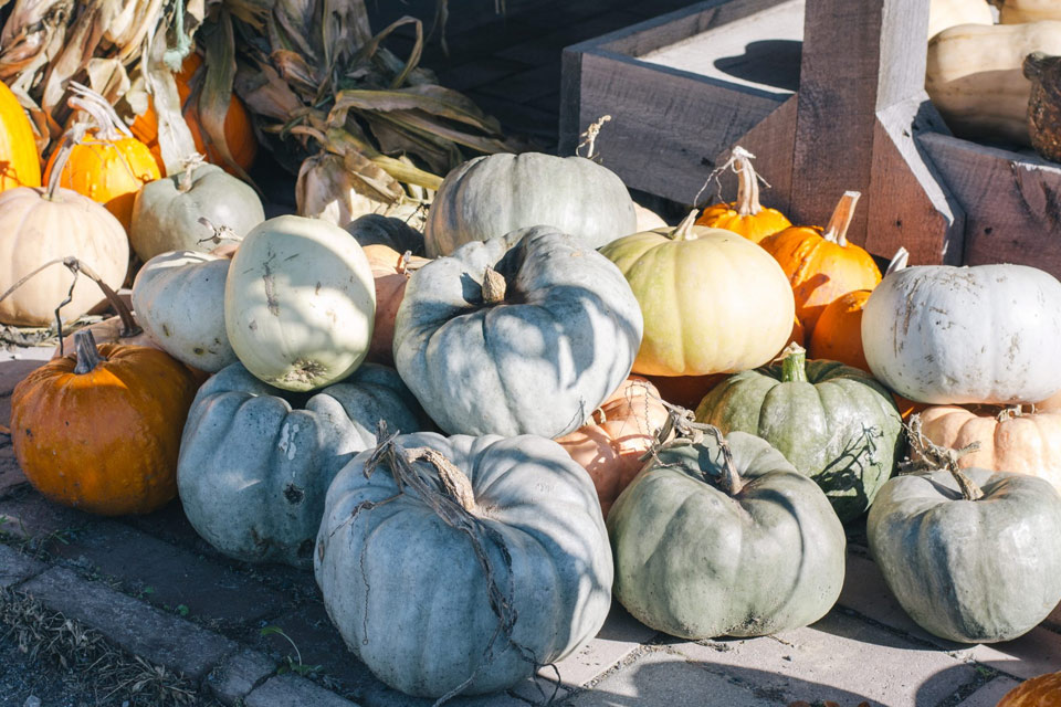 a pile of pumpkins sitting next to each other.