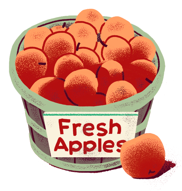 Fresh apples in a bucket.
