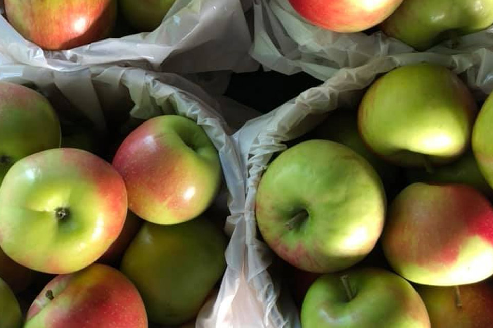 a bunch of green and red apples in a plastic bag.