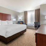 A hotel room with a bed, desk and television.