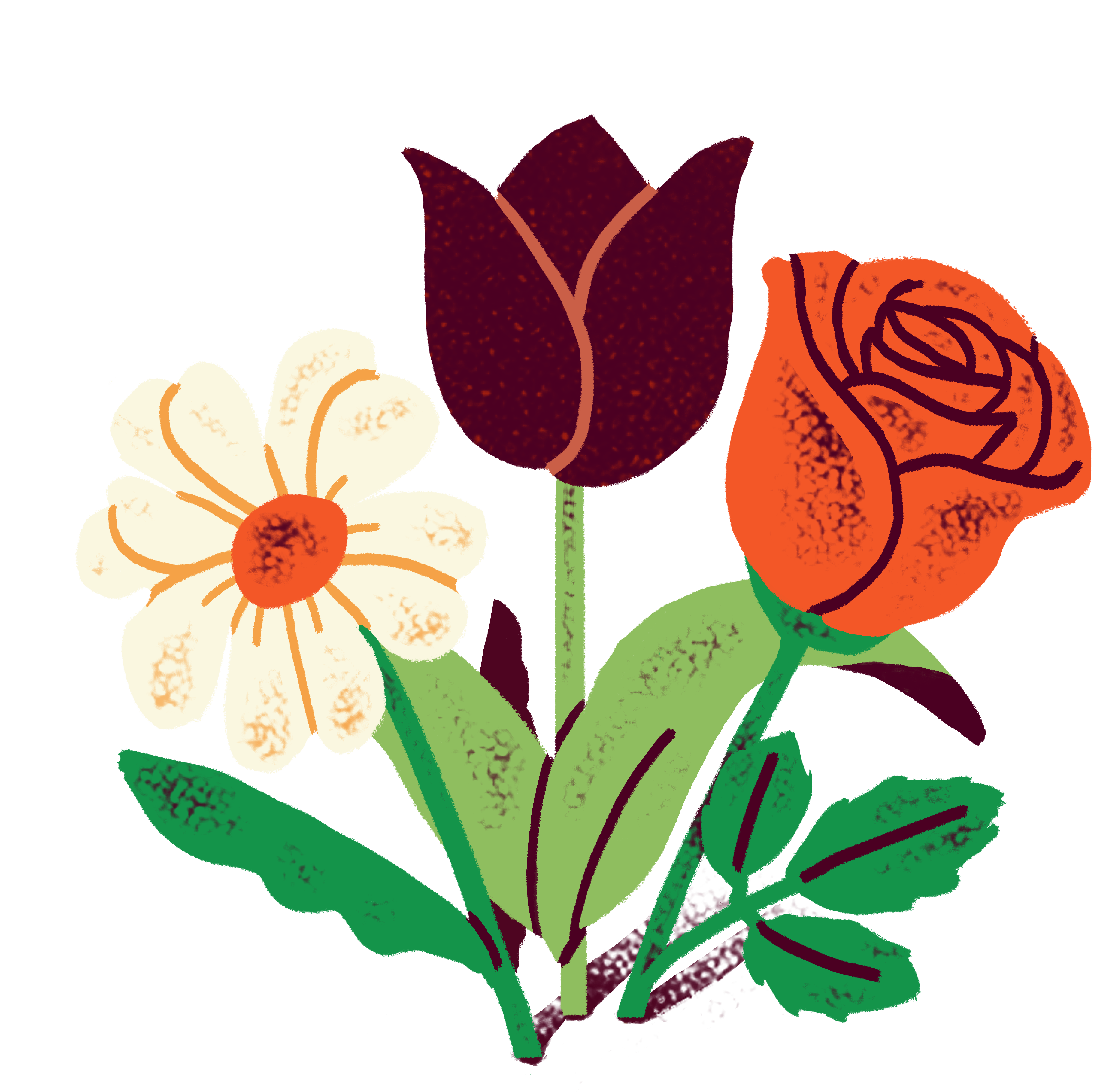 A bouquet of flowers in a vase on a white background.