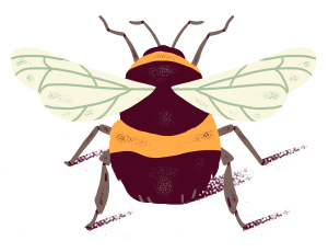 Illustration of a bumblebee
