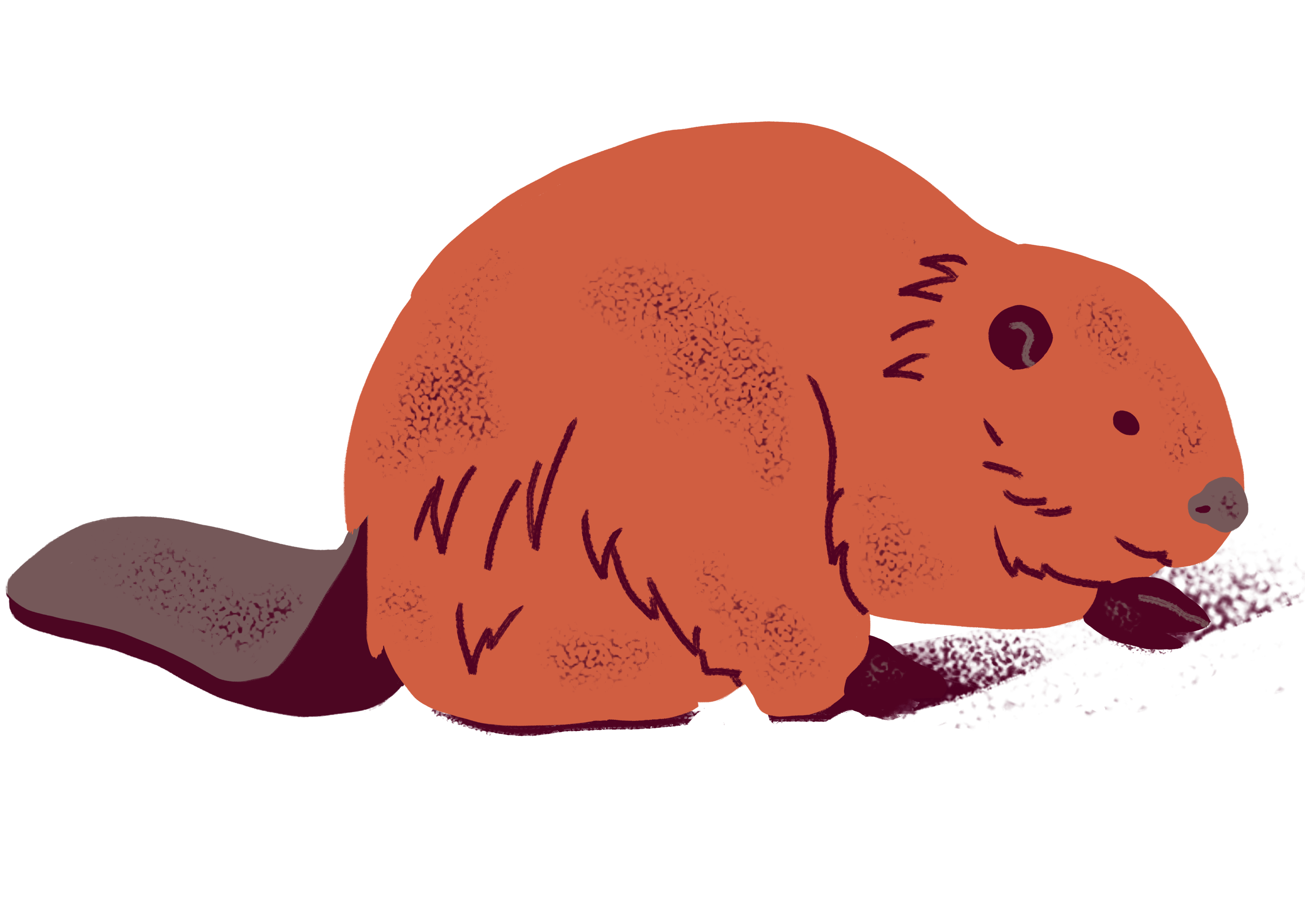 BOQ-2021-Icon-Beaver-Final