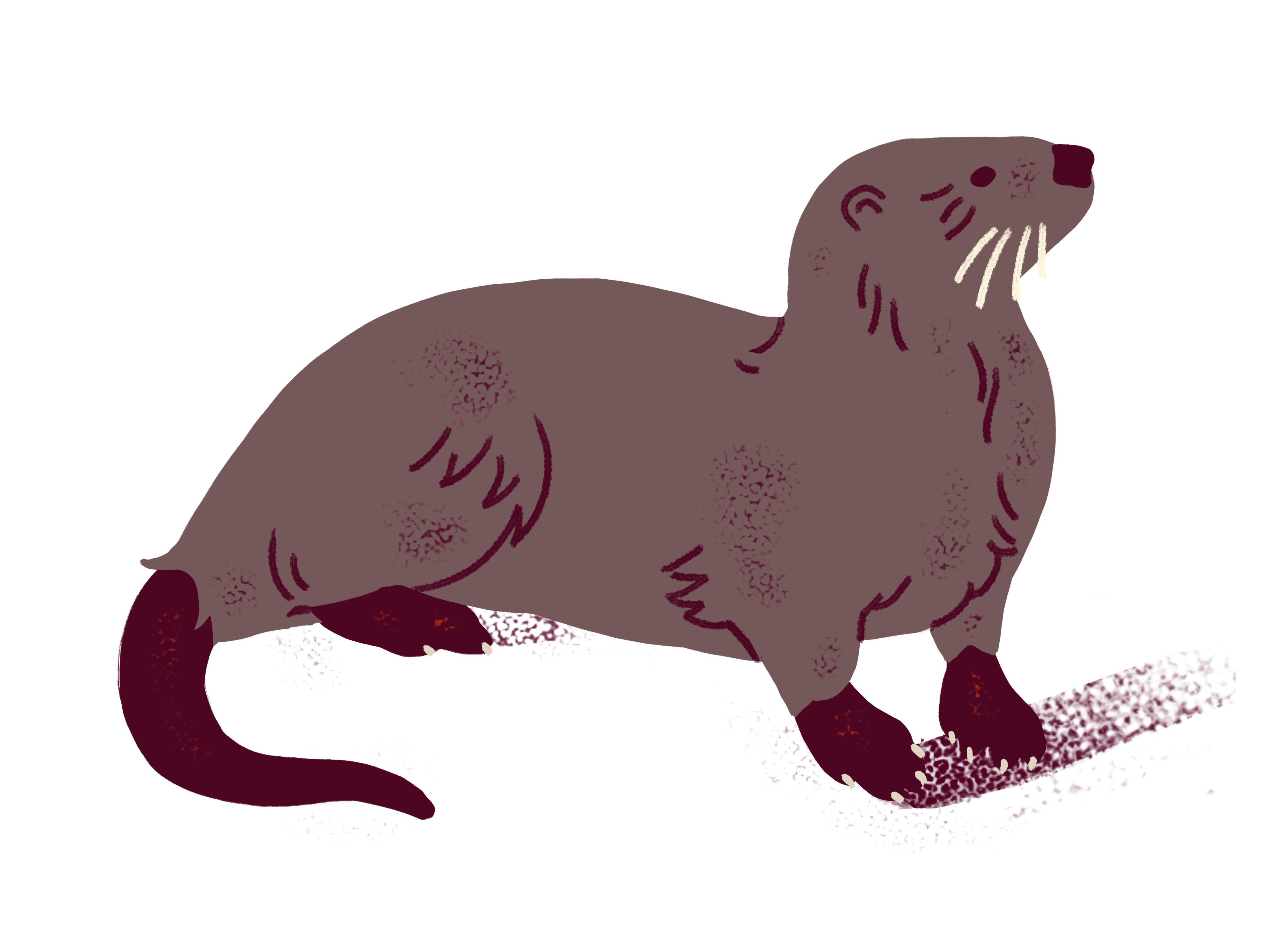 BOQ-2021-Icon-Otter-Final