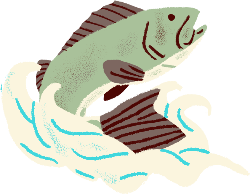 Fish