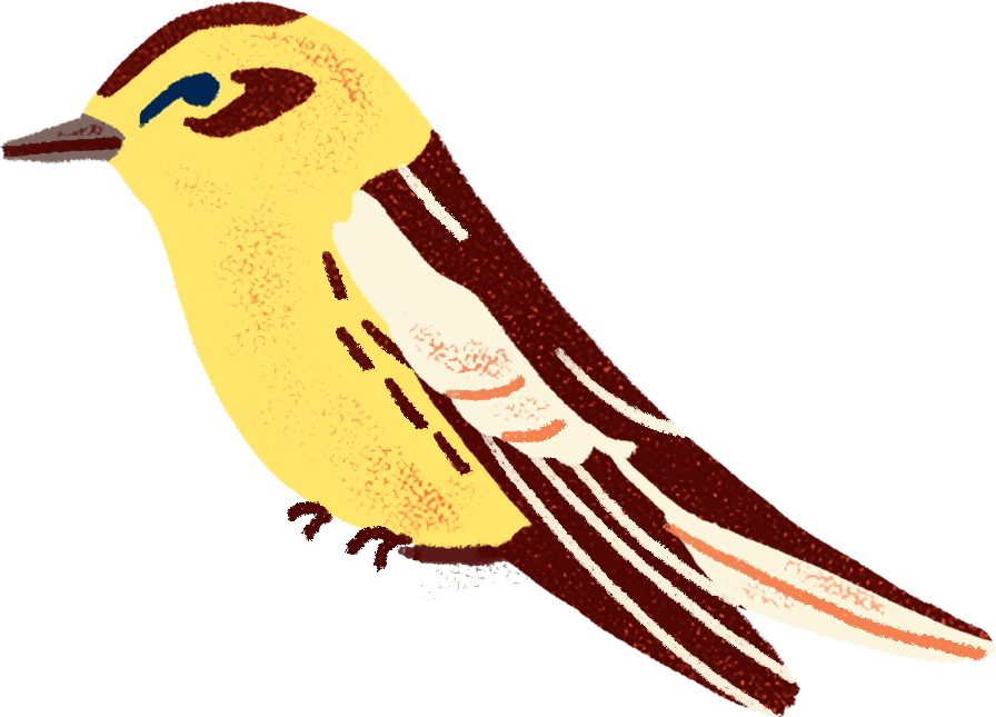 Warbler