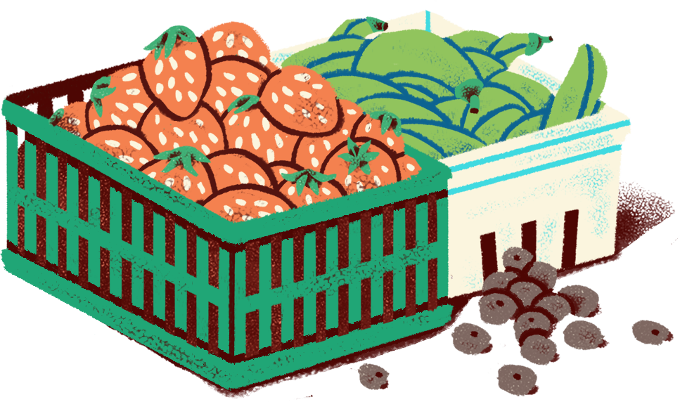 BOQ-2017-Icon-Fruit png