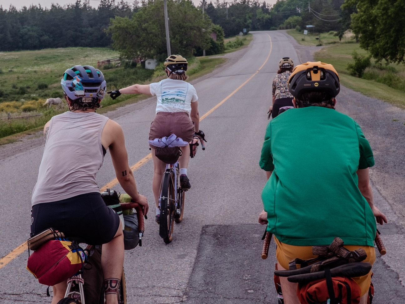 four cyclists riding along a back road in the country