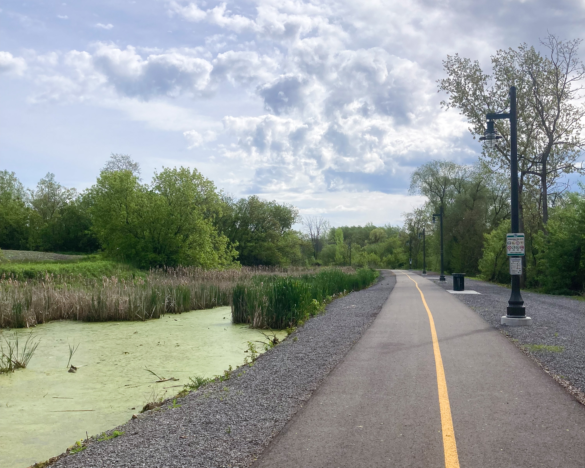 a paved walking and cycling trail running along a marsh