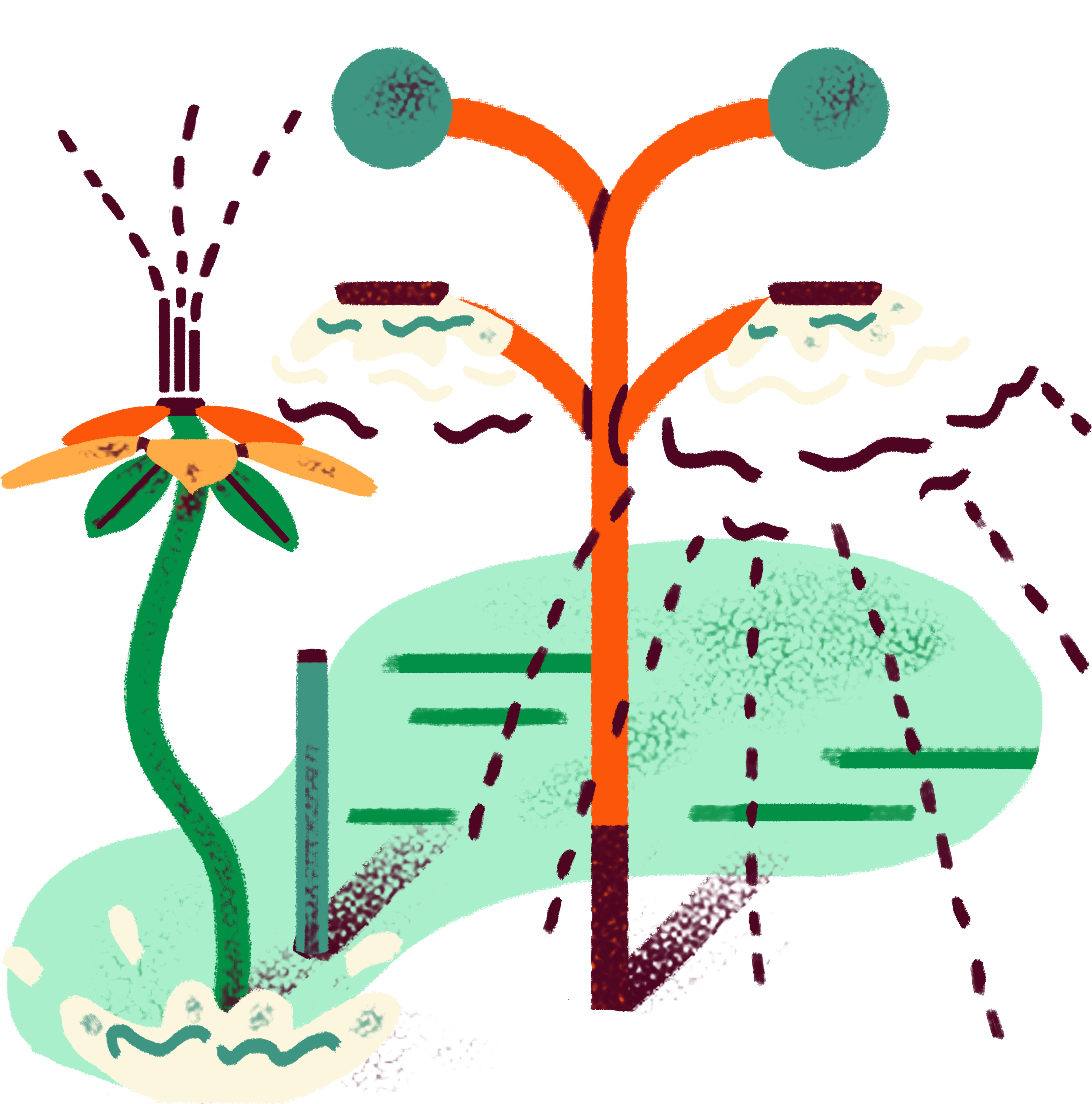 BOQ-2018-Icon-Splash-Pad-Final