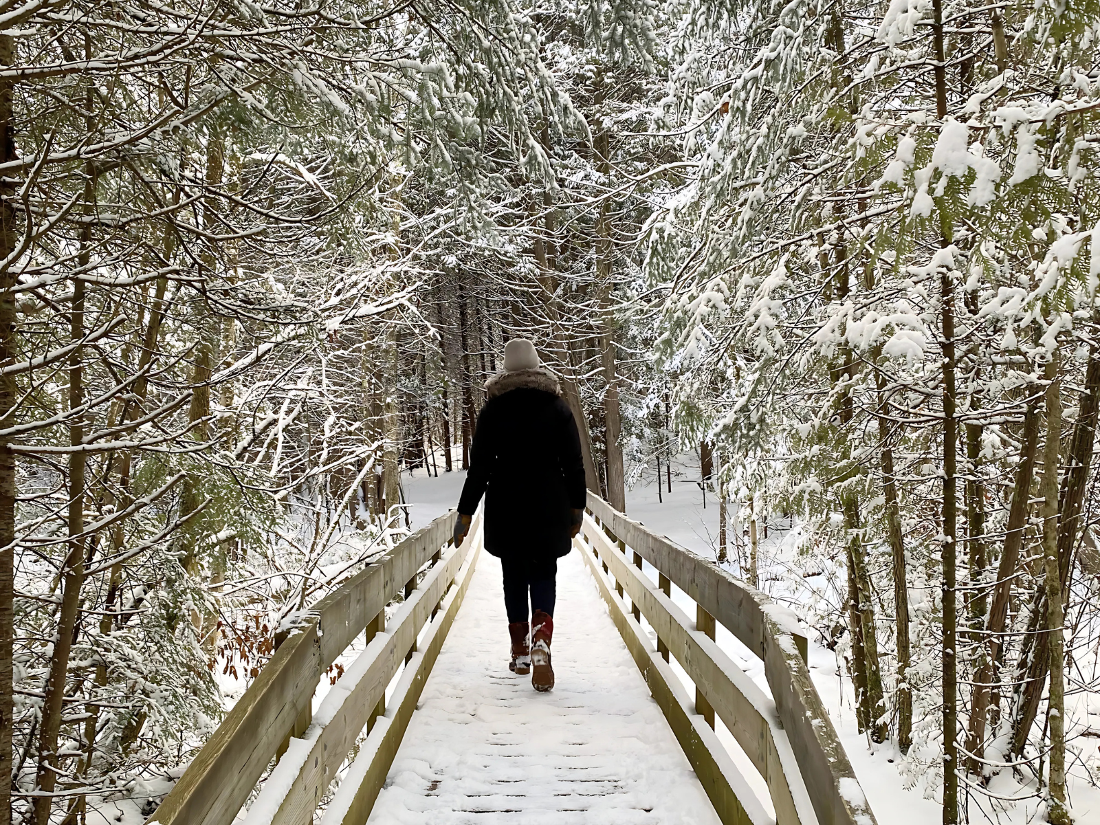A person walking across a small wooden bridge along a trail in the woods. The trees and ground are covered in snow