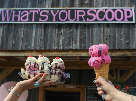 two hands holding up ice cream in front of the what's your scoop sign, one hand has a big cone of pink cotton candy ice cream and the other is holding a banana split
