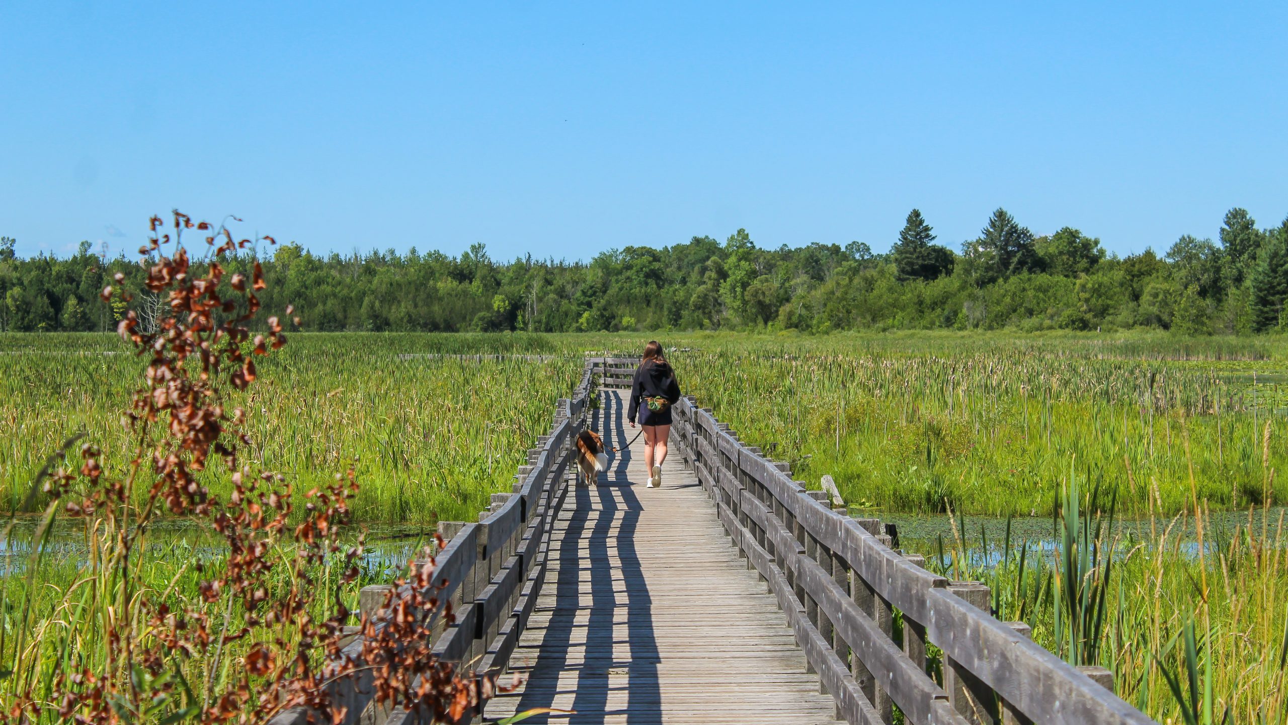 Hikes and Nature Strolls