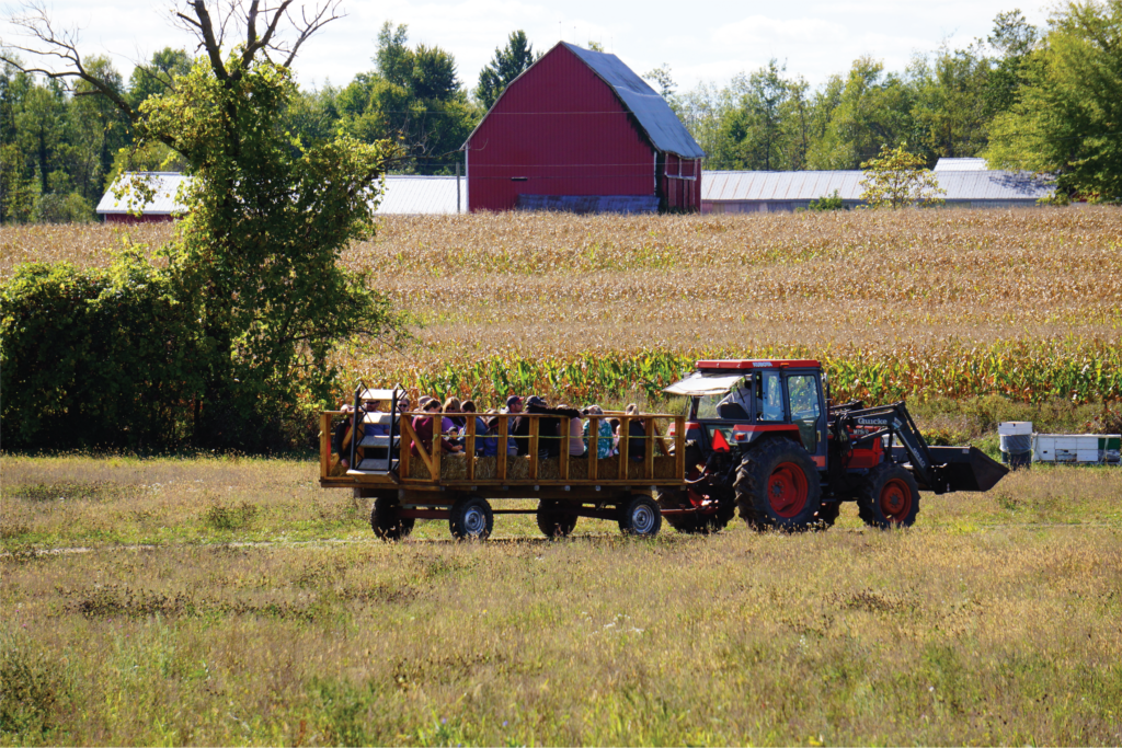 Image of a tractor pulling a trailer of people through a field