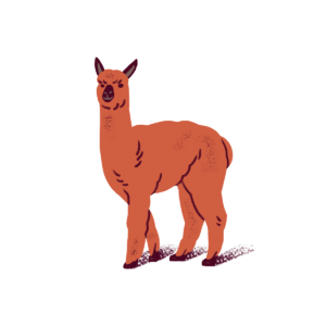 boq-web-bucket-list-carousel-icons-alpaca-3