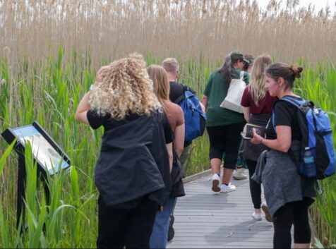 Image of a group of people on a boardwalk in a marsh