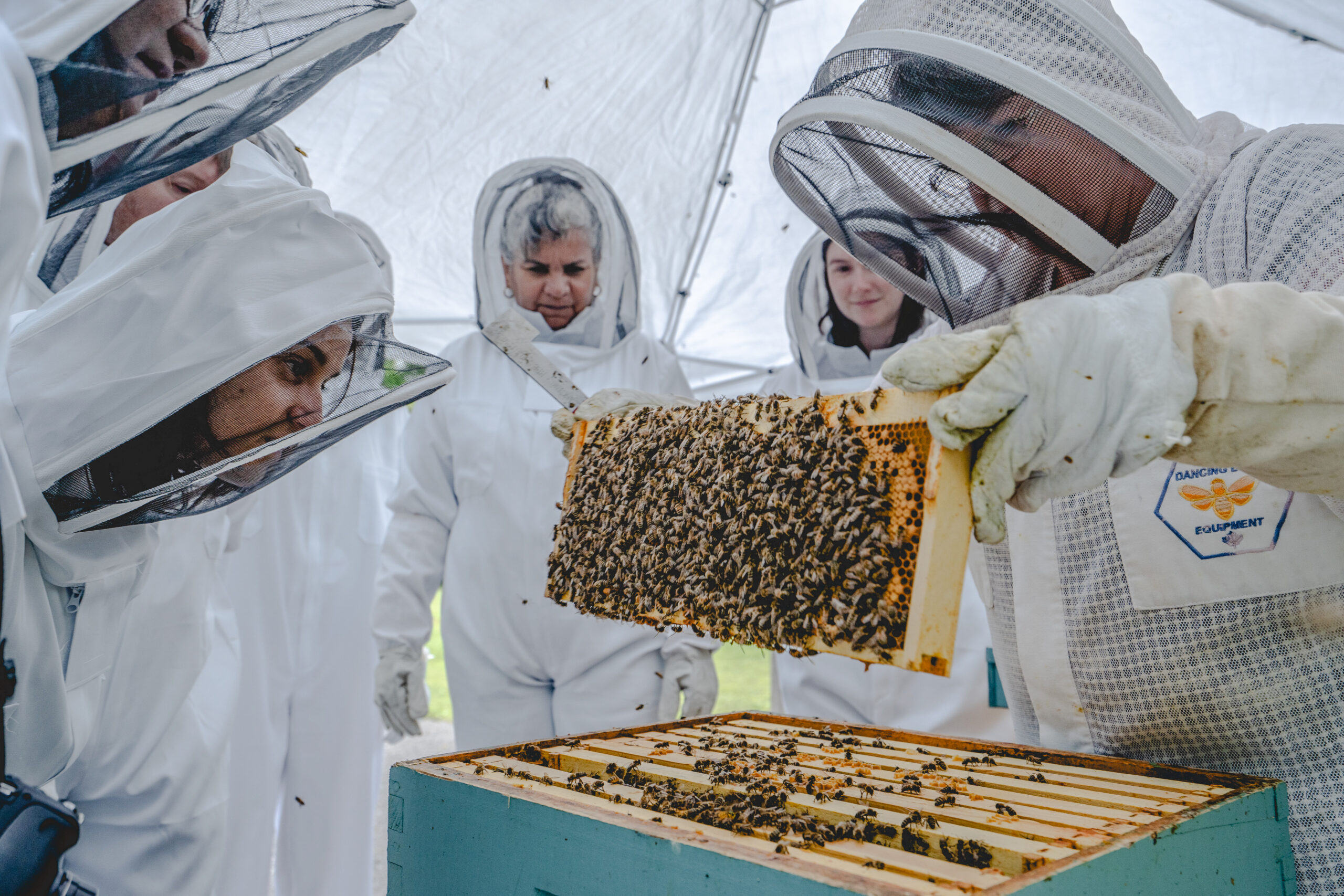 Just Bee Cuz Honey Farm - Bee Our Guest, photo by David LeClair
