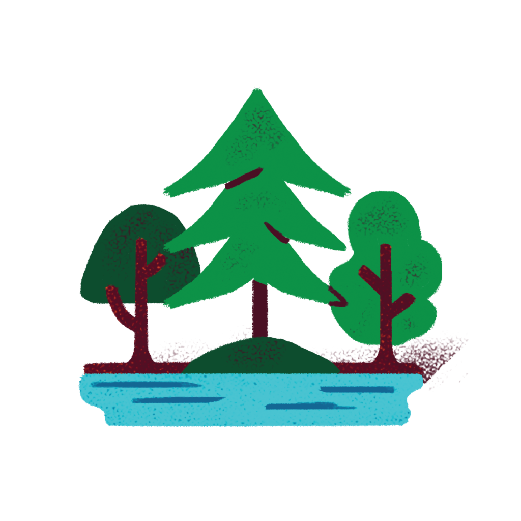 Illustration of three trees on top of some water
