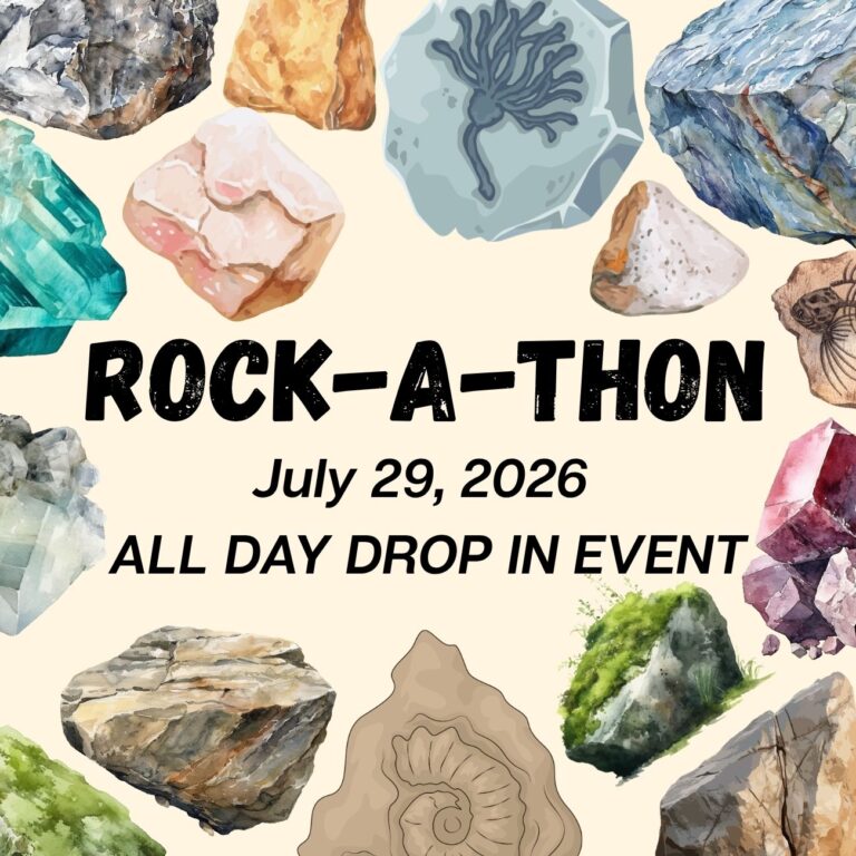 rocks