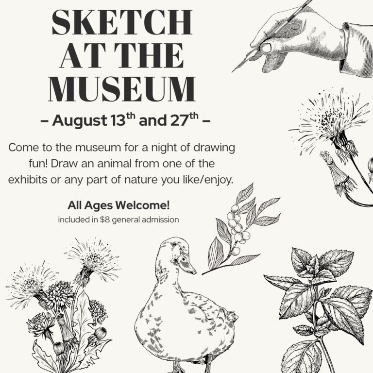 duck, flowers, hand drawing
