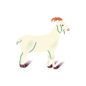 boq-web-bucket-list-carousel-icons-goat-1