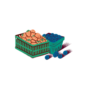 boq-web-bucket-list-carousel-icons-berries