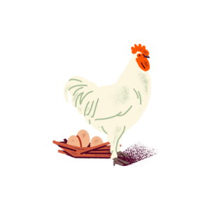 boq-web-bucket-list-carousel-icons-chicken