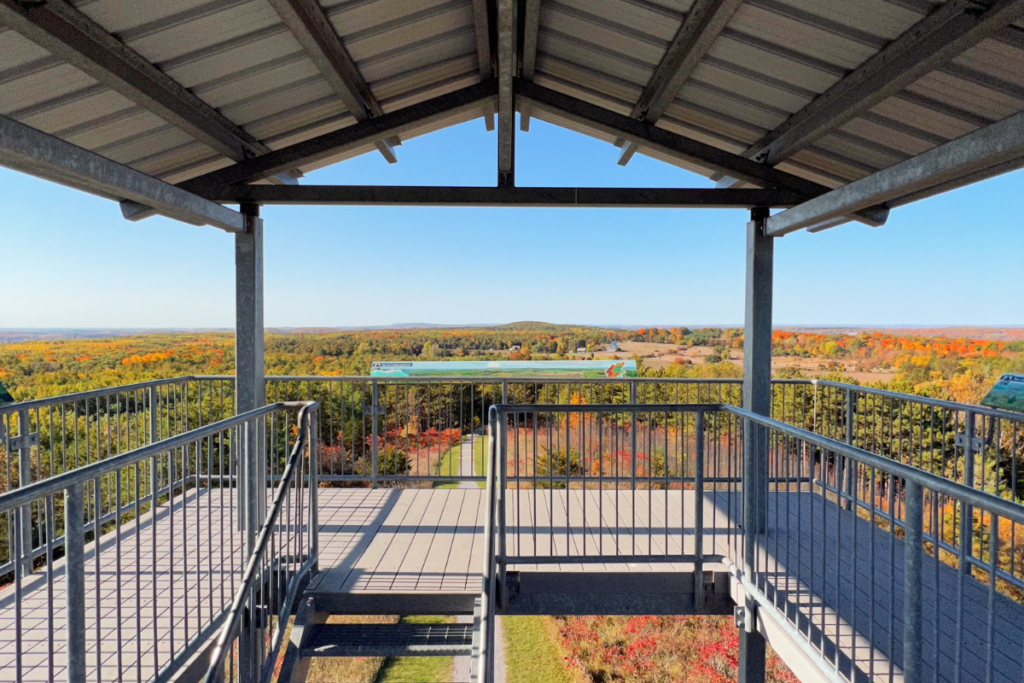 Image of the view of a forest from a tower