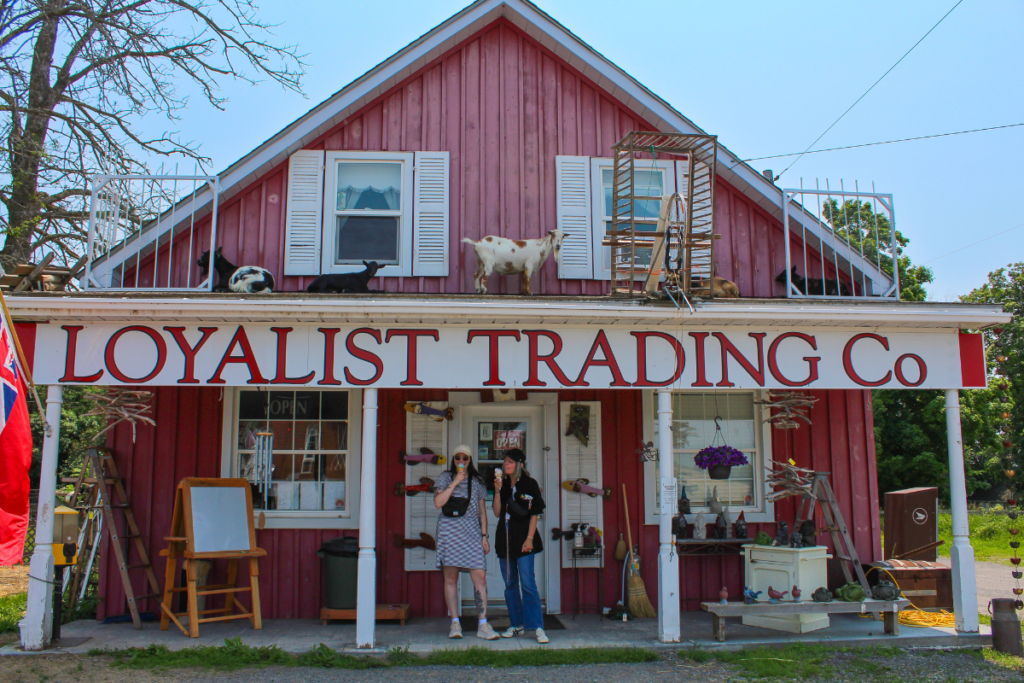 Image of a roadside store with goats on the roof