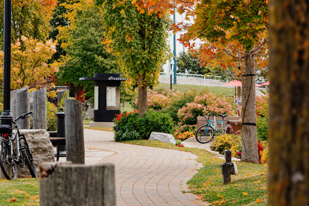 Image of a trail lined with fall coloured trees