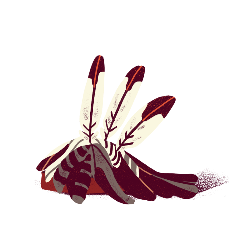 An illustration of a mohawk gastowa (headdress) with three feathers